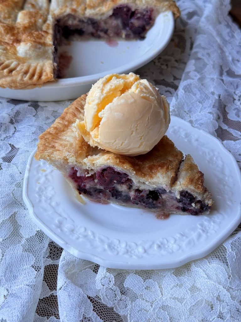 FRESH BLACKBERRY PIE – The Southern Lady Cooks